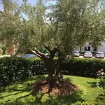 Alberta Poreč